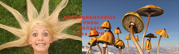 spice Аркадак