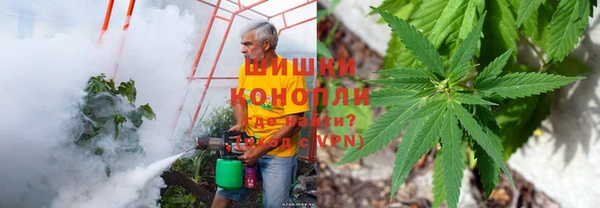 spice Аркадак
