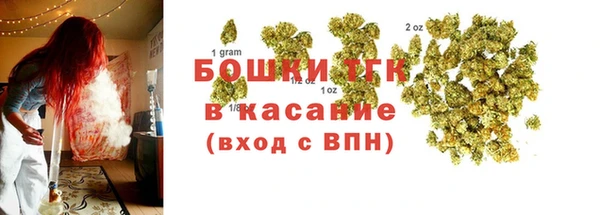 spice Аркадак