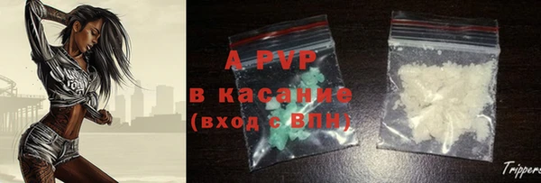 spice Аркадак