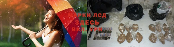 амф Арсеньев