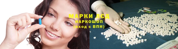 амф Арсеньев
