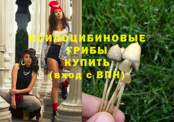spice Аркадак